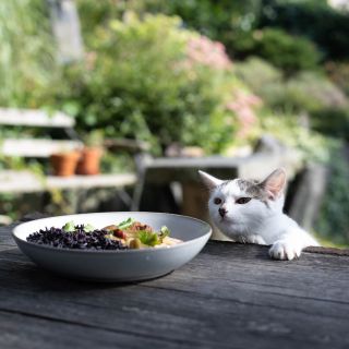 Poslední krásný víkend na dlouhou dobu? To si žádá minimum času u sporáku a obědvání na terase, v zahradě či parku.♥️ A...